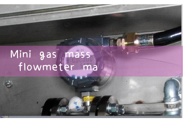 Mini gas mass flowmeter manufacturer